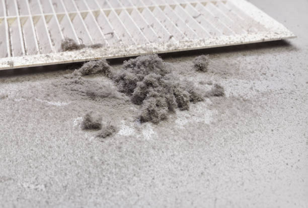 Best Air Duct Cleaning Near Me  in Nokomis, IL