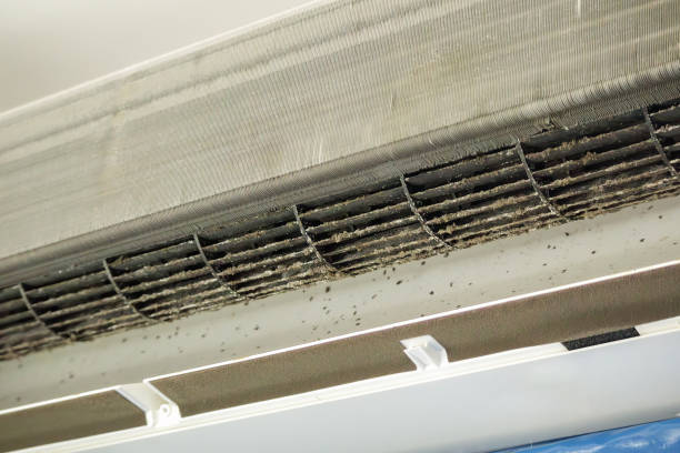 Best Best Air Duct Cleaning Company  in Nokomis, IL